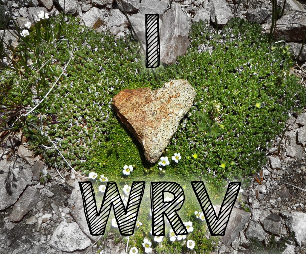 Donate to WRV